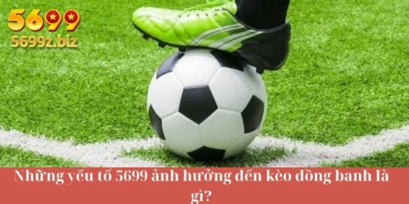 Những yếu tố 5699 ảnh hưởng đến kèo đồng banh là gì?