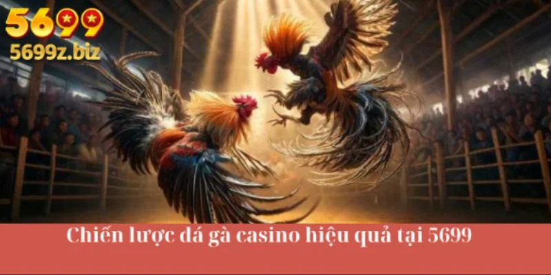 Chiến lược đá gà casino hiệu quả tại 5699