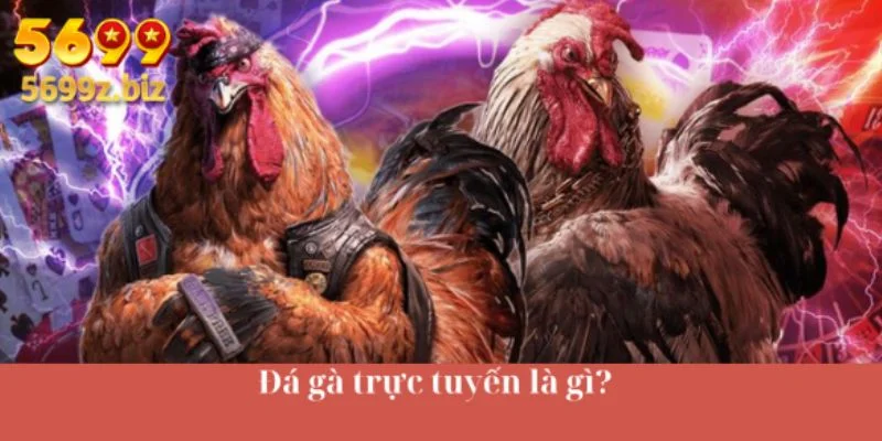 Đá gà trực tuyến là gì?