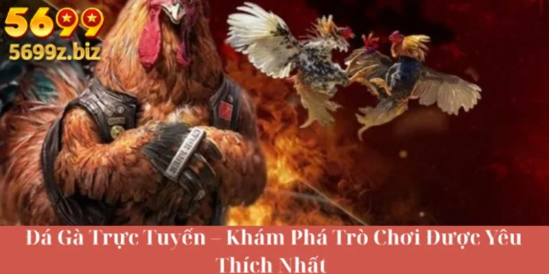 Đá gà trực tuyến